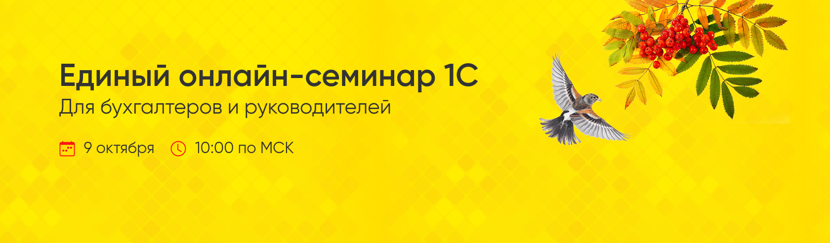 Единый семинар 1С для бухгалтеров и руководителей